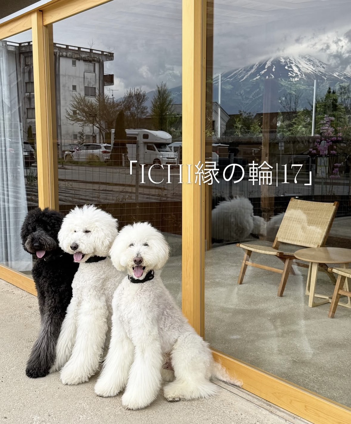 今すぐお問い合わせを