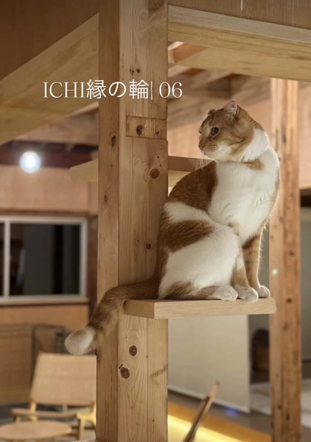 今すぐお問い合わせを