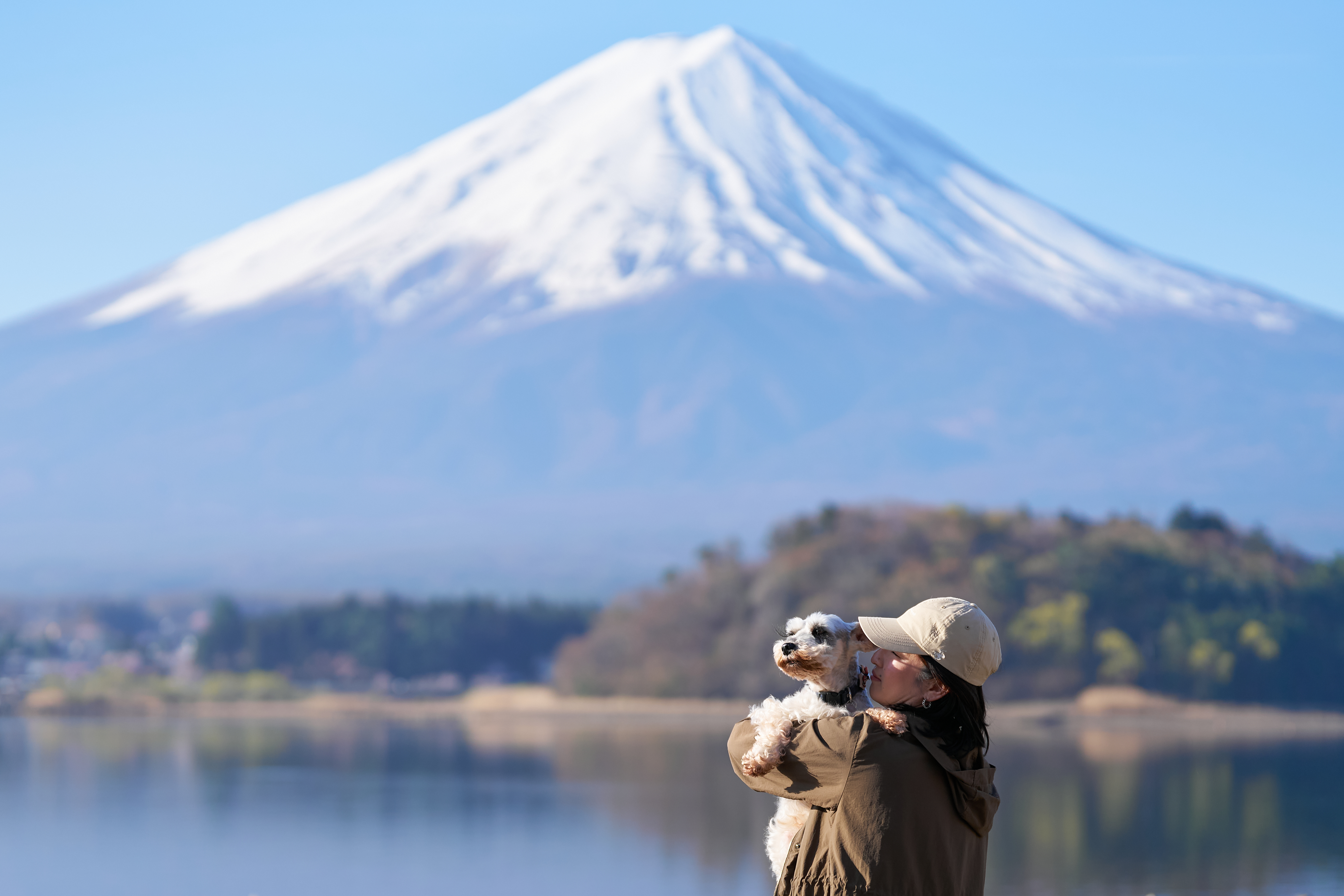ペットとともに過ごす、富士山の絶景を独占する宿泊体験