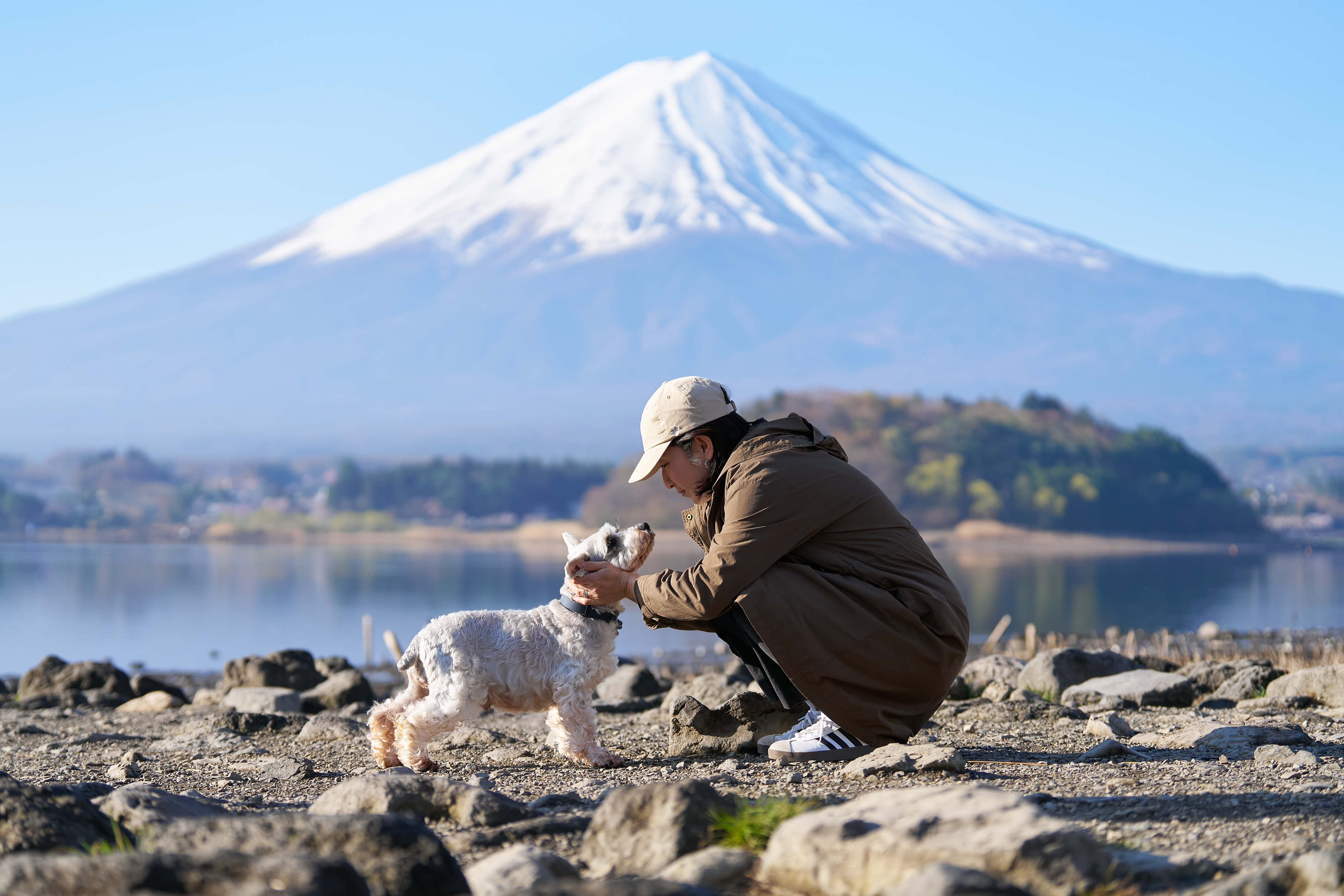 富士山を眺めながら、愛犬と過ごす特別なひととき