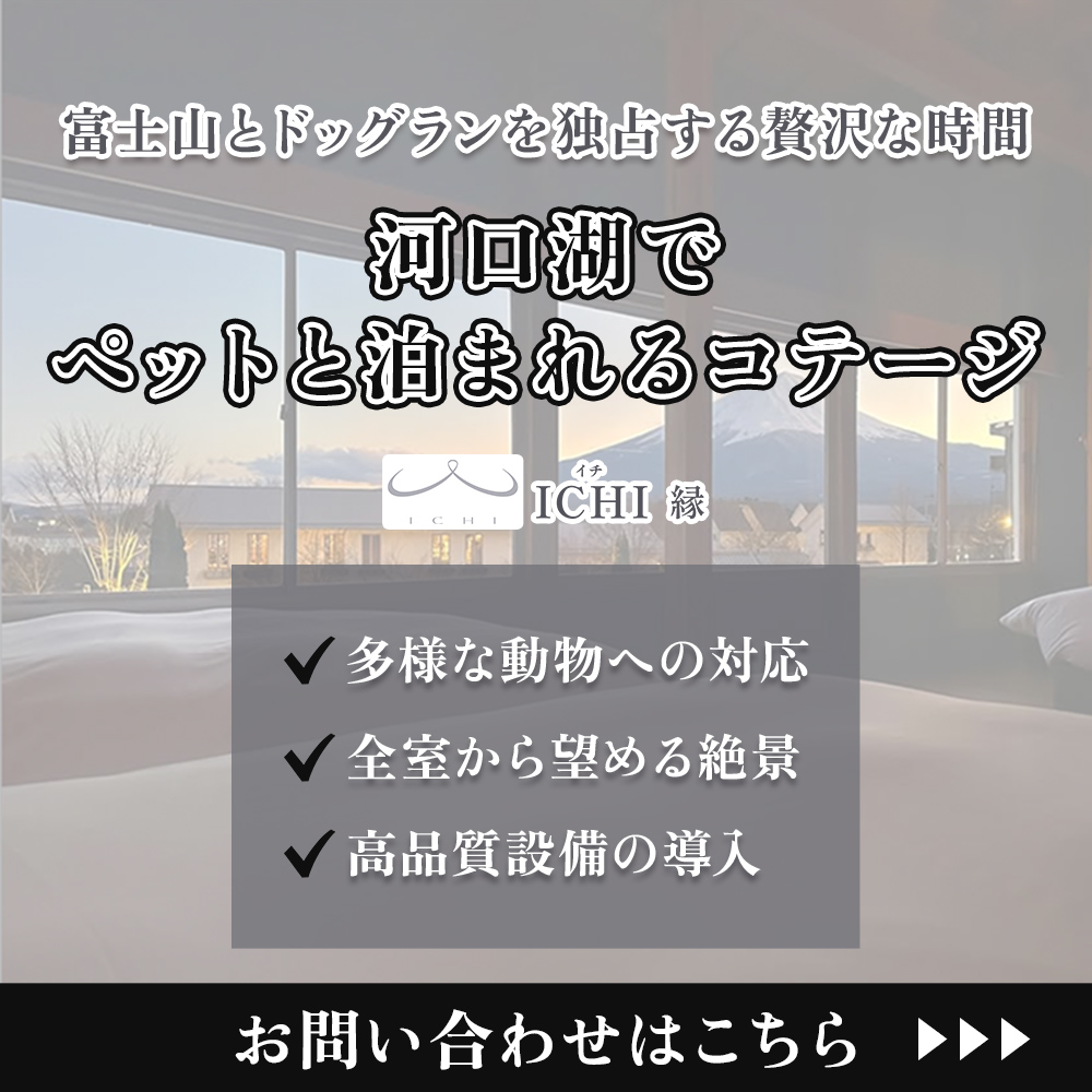 modal_banner